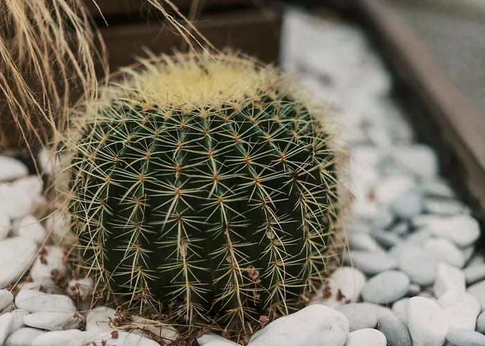 דירה Mailo&luke עיר רודוס