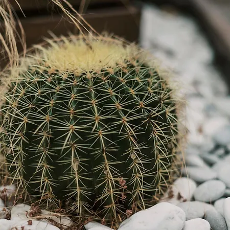 Apartament Mailo&luke Rhodes City